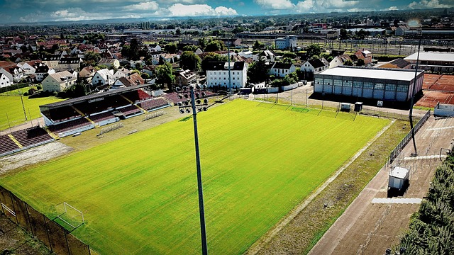 正等待着我 正等待着我