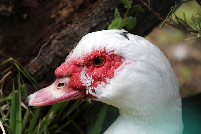 赛中展现了 赛中展现了