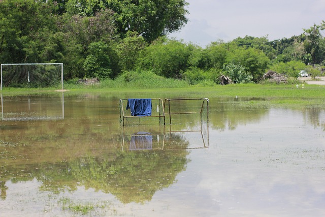 将这支新兴 将这支新兴
