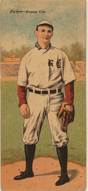 了许多精彩 了许多精彩