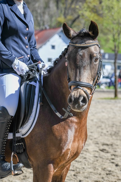 荣耀时刻 荣耀时刻